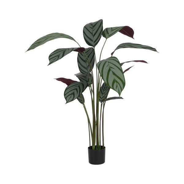 Plantă artificială (înălțime 150 cm) Calathea – Ixia