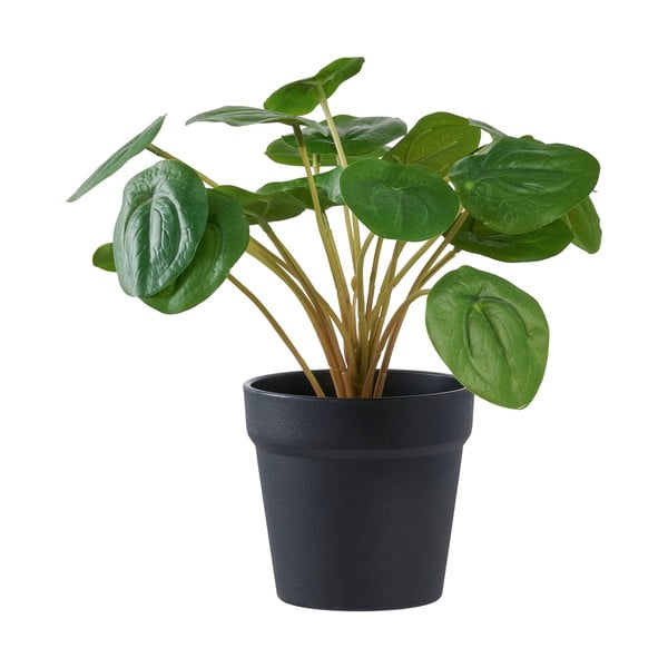 Plantă artificială (înălțime 28 cm) Pelia – House Nordic