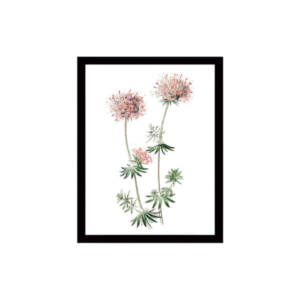 Tablou pe pânză în ramă neagră Tablo Center Natura, 29 x 24 cm