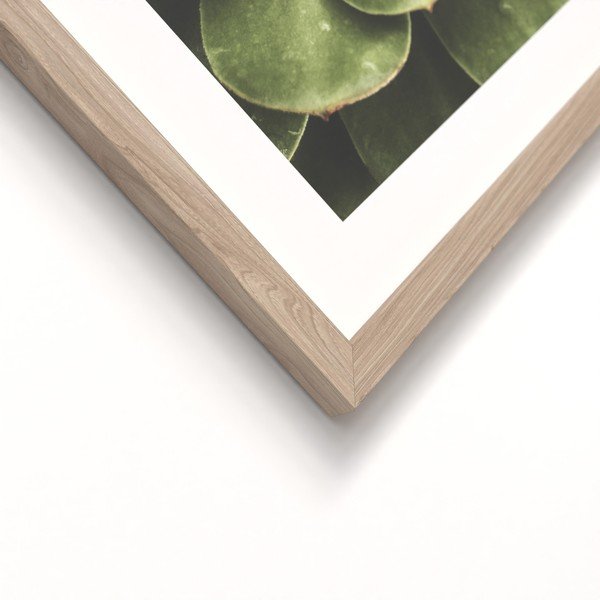 Tablouri cu ramă 2 buc. imprimate 30x40 cm Beauty Green – Styler-image-3