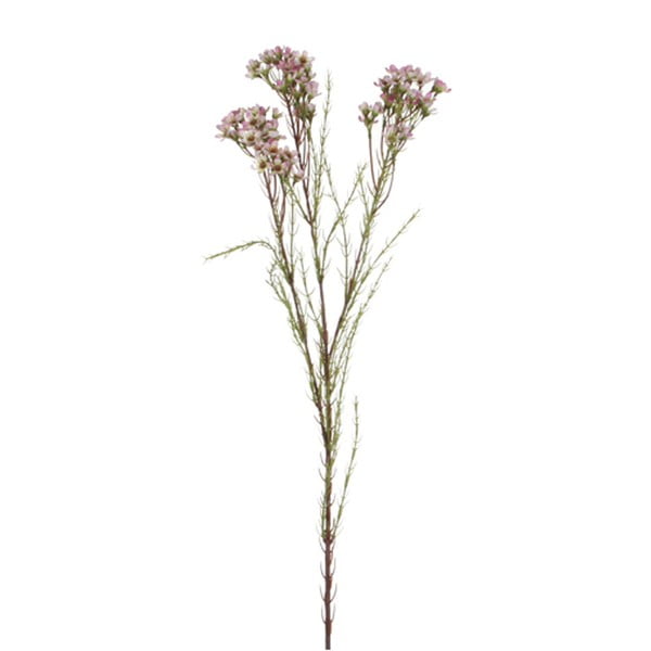 Floare artificială Ego Dekor Chamelaucium, violet, înălțime 80 cm