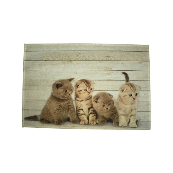 Suport pentru farfurie Four Kitten British Shorthare 40x30 cm