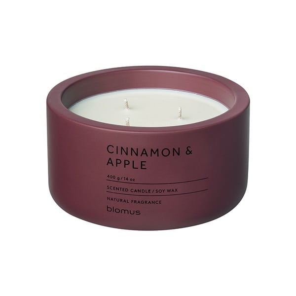 Lumânare parfumată din ceară de soia timp de ardere 25 h Fraga: Cinnamon & Apple – Blomus