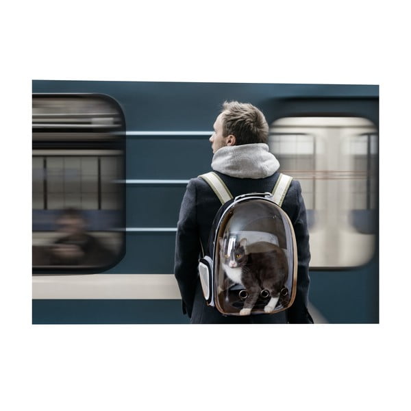 Geantă de transport pentru animale de companie 28x33 cm – Love Story-image-3