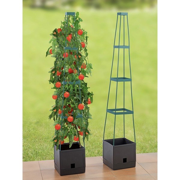Ghiveci din plastic - Maximex-image-1