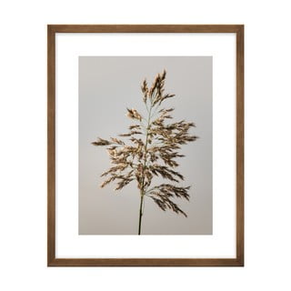 Poster 40x50 cm Meadow - knor