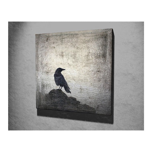 Tablou pe pânză Black Bird, 45 x 45 cm-image-2