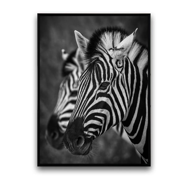 Poster cu ramă din lemn Zebra