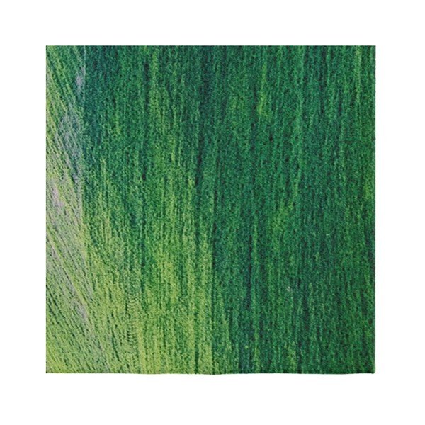 Covor Oyo home Suzzo Garto, 80 x 150 cm, verde-image-1
