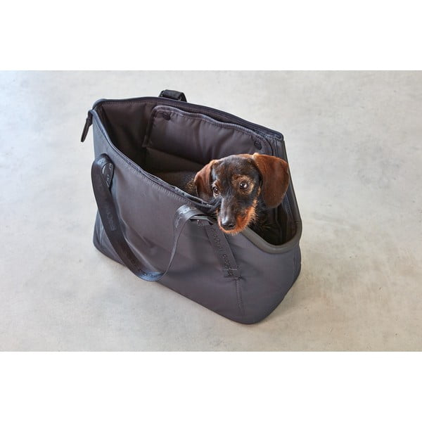 Geantă de transport gri închis pentru câini 22x40 cm Sporta Asphalt S – MiaCara-image-2