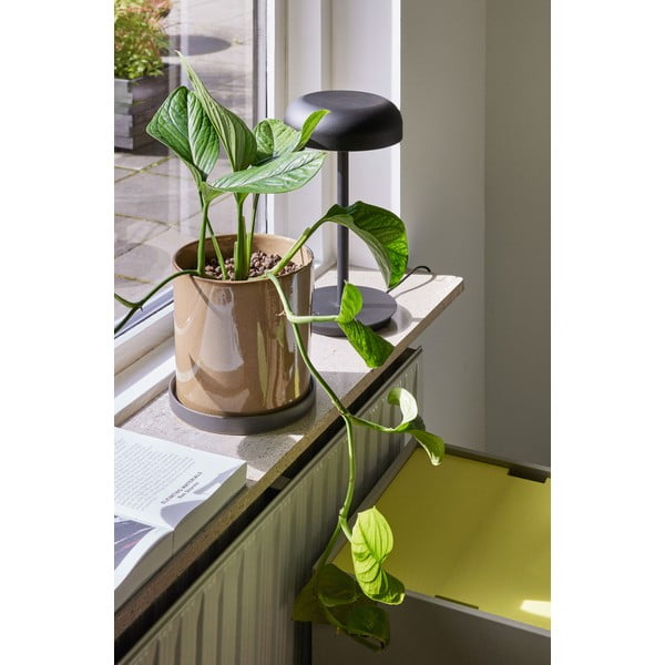 Veioză LED neagră cu intensitate reglabilă (înălțime 37 cm) Velo – Hübsch-image-1