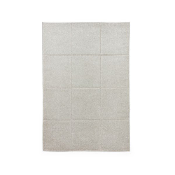 Covor gri deschis 120x170 cm Elio Silver – Think Rugs
