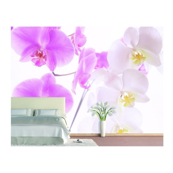 Tapet Graceful Orchids, 400x280 cm