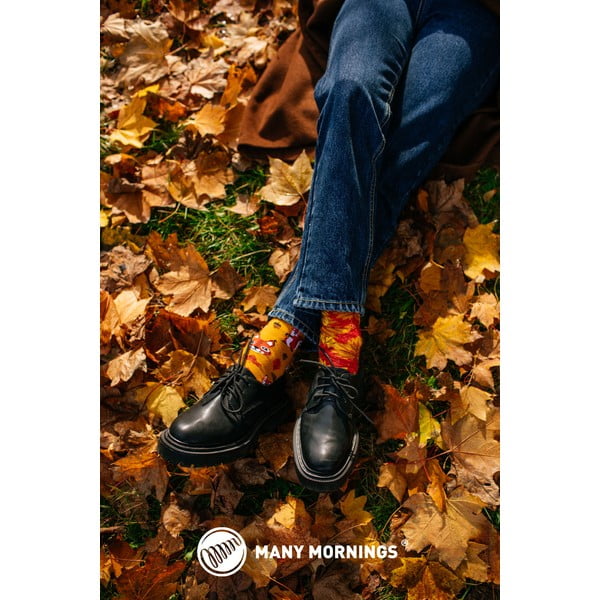 Șosete Many Mornings The Squirrels, mărime. 35-38-image-2