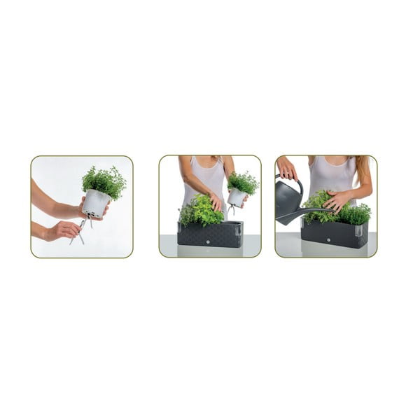 Ghiveci cu sistem de auto-udare Flower Lover Cobble Trio, 40 x 14 cm, verde fistic-image-4