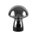 Veioză gri LED cu abajur din sticlă (înălțime 18 cm) Dooley – Reality