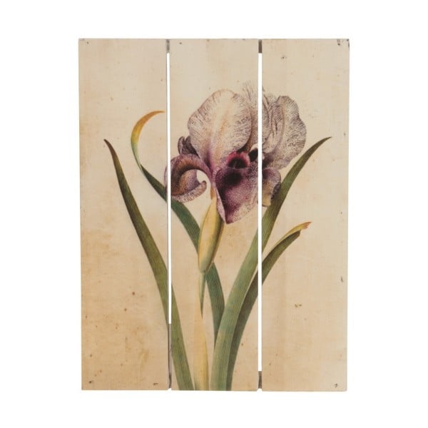 Imagine pe lemn, Dijk Natural Collections Orchid, 19x25 cm