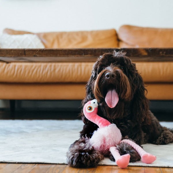 Jucărie pentru câine Flamingo – P.L.A.Y.-image-1