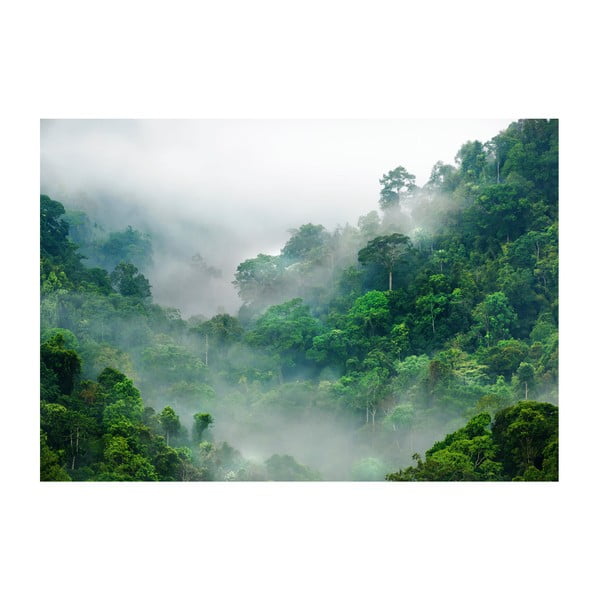 Tapet în format mare Artgeist Morning Fog, 400 x 280 cm
