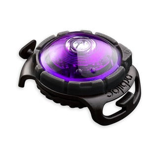 Lanternă LED pentru zgardă Purple – Orbiloc