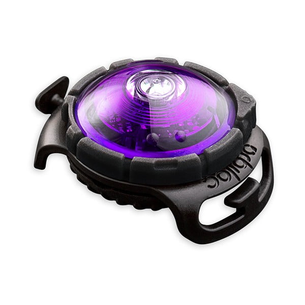 Lanternă LED pentru zgardă Purple – Orbiloc