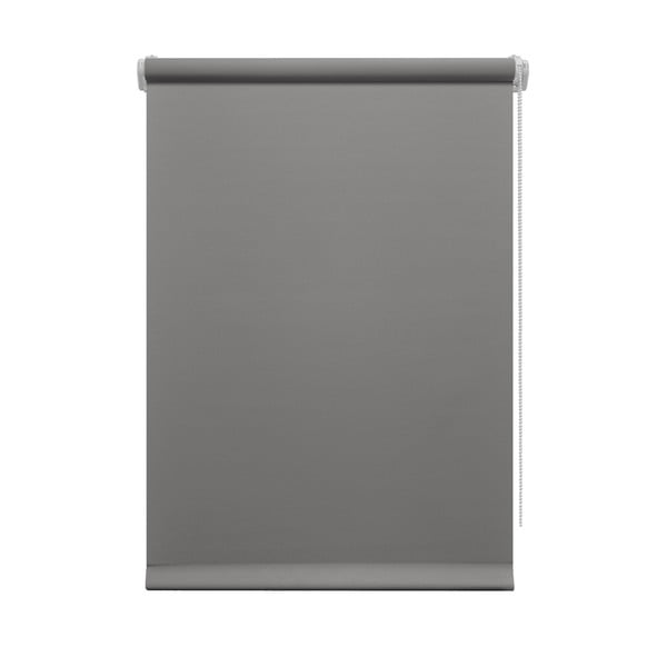 Jaluzea gri închis 72,5x150 cm Mini Relax – Gardinia