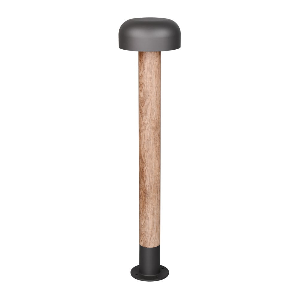 Corp de iluminat pentru exterior cu stâlp de fixare ø 19 cm Fraser – Trio