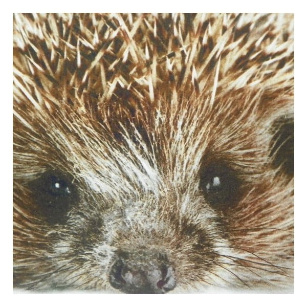 Pernă Winter Hedgehog 50x50 cm-image-1