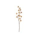 Plantă artificială (înălțime 68 cm) Poppy Berry – PT LIVING
