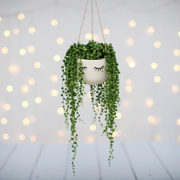 Ghiveci suspendat Sass & Belle Eyes Shut-image-2