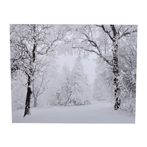 Tablou Ewax Snowy Nature, 40 x 50 cm