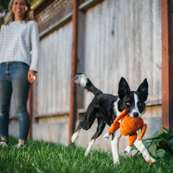 Jucărie pentru câine Turkey– P.L.A.Y.-image-1