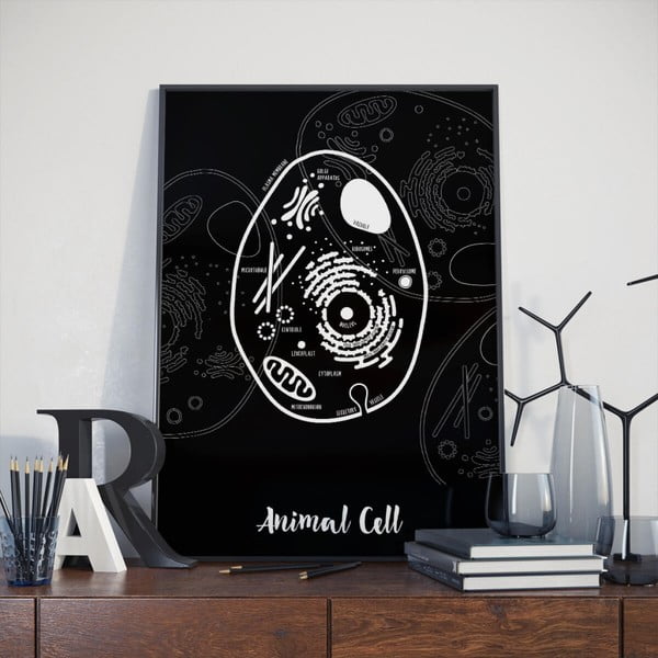 Poster Follygraph Animal Cell Black, 30 x 40 cm