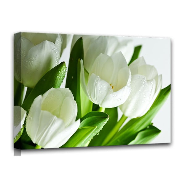 Tablou Styler Canvas White Tulips, 60 x 80 cm