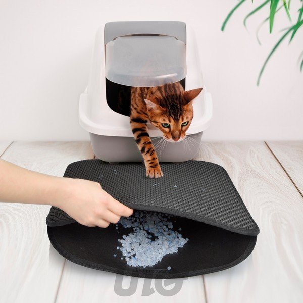 Covoraș pentru litiera de pisici 50x40 cm – Love Story-image-1