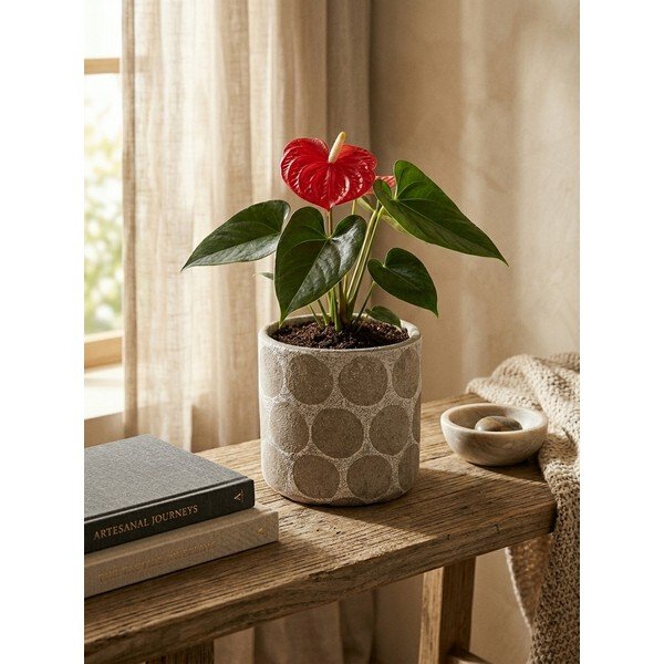 Ghiveci decorativ din teracotă handmade ø 12 cm Felan – Bloomingville-image-2