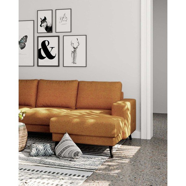 Colțar portocaliu (pe partea stângă ) Fynn – Ghado-image-4