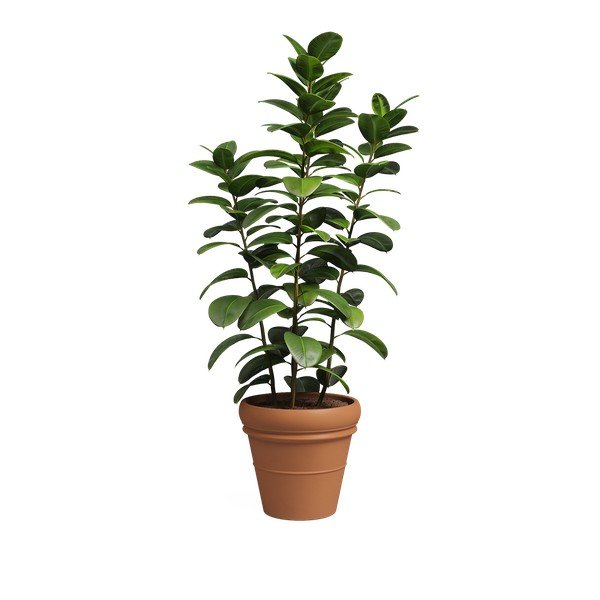 Ghiveci din teracotă ø 47 cm Mariza – Artevasi-image-4