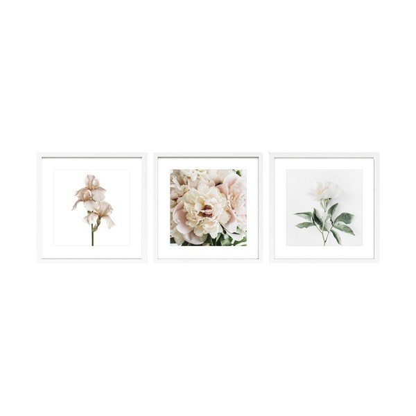 Tablouri cu ramă 3 buc. imprimate 30x30 cm Posy – Styler