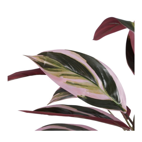 Plantă artificială (înălțime 55 cm) Bird of Paradise – Ixia-image-3