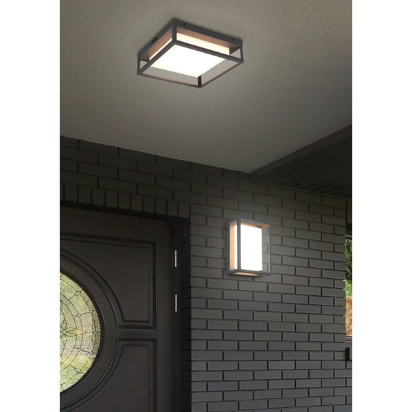 Corp de iluminat pentru exterior LED de perete (înălțime 10 cm) Witham – Trio-image-1