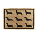 Covoraș de intrare din fibre de nucă de cocos 40x60 cm Dachshund – Artsy Doormats