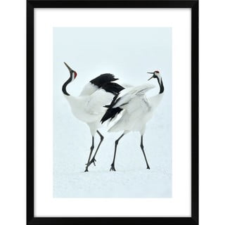 Poster 30x40 cm Dancing Herons - knor
