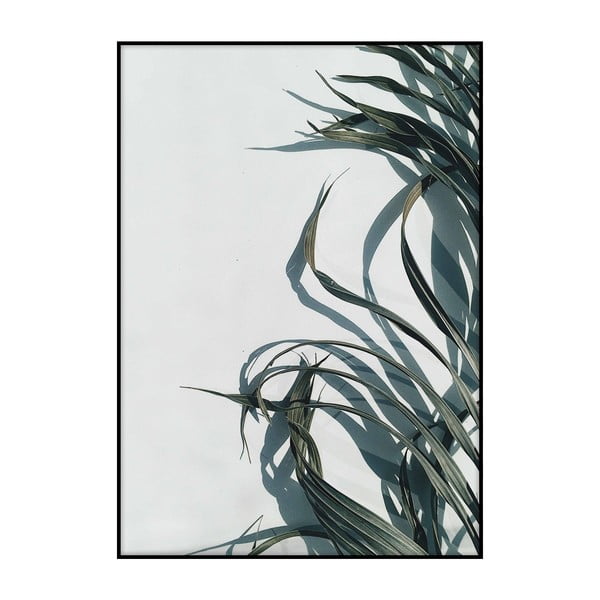 Poster Imagioo Palm Shadows, 40 x 30 cm