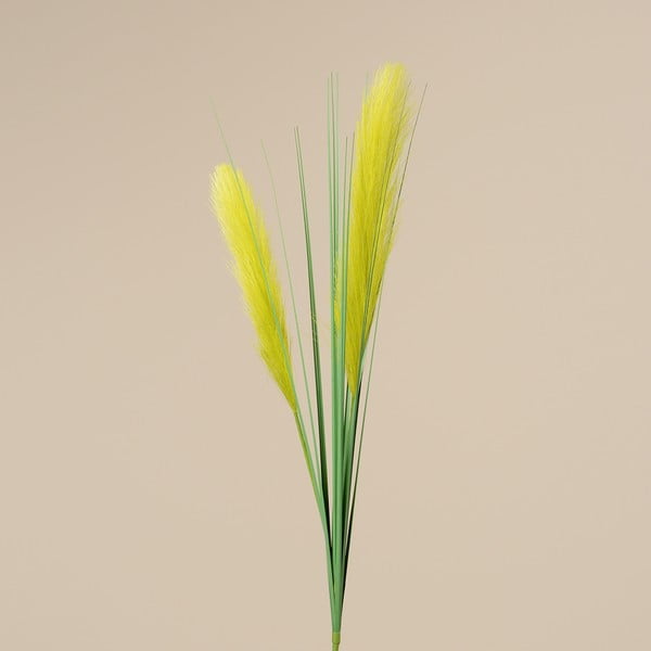 Floare decorativă Boltze Grass