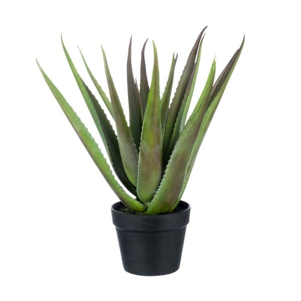 Plantă decorativă J-Line Aloe Vera, înălțime 50 cm