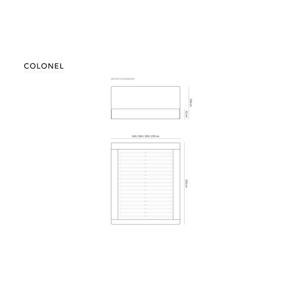 Pat matrimonial gri deschis tapițat cu spațiu de depozitare cu somieră 140x200 cm Colonel – Cosmopolitan Design-image-4