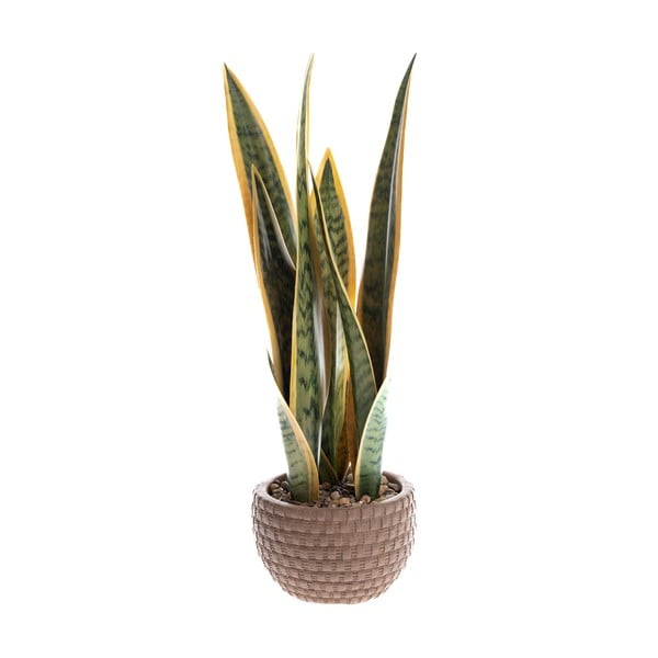 Plantă artificială (înălțime 35 cm) – Dakls