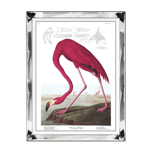 Tablou JohnsonStyle The Flamingo, 71 x 91 cm