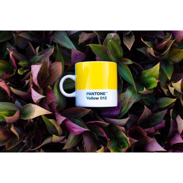 Ceașcă galbenă pentru espresso din porțelan 120 ml Yellow 012 – Pantone-image-1